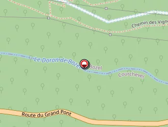 Carte de Joly Frédéric à Courchevel saint bon