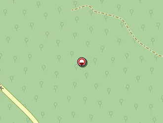 Carte de Dmc Services à Grayan-et-l'hôpital