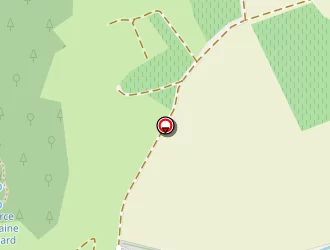 Carte de Engelvin Irène à Boudes