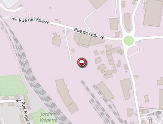 Carte de Bedja Zed à Saint-étienne