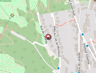 Carte de Ruiz à Saint-étienne