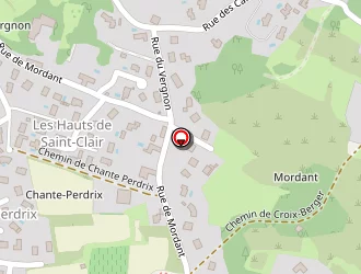 Carte de Remillet Jean à Saint-clair-du-rhône