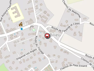 Carte de Bourbon Sonia à Bilieu