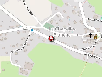 Carte de Appui Consultants à Chapelle-blanche (la)