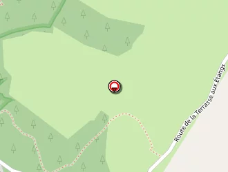 Carte de Celle Thierry à Saint-étienne