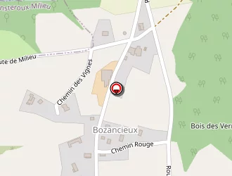 Carte de Boireaud Philippe à Montseveroux