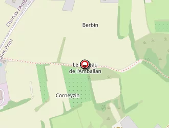 Carte de Pineau Yannick à Saint-prim