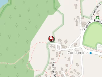 Carte de Lebourg Patrick à Saint-étienne