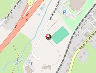 Carte de Ds Services à Saint-chamond