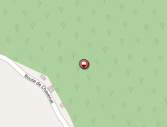 Carte de Vannier Patrick à Chavenat