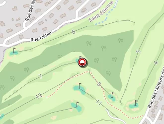 Carte de Cambise à Saint-étienne