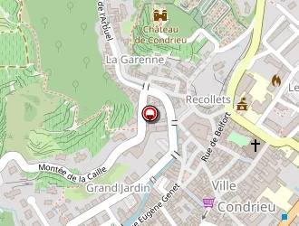 Carte de Teyssier Maurice à Condrieu