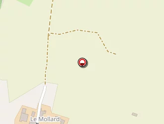 Carte de Gonon Daniel à Pin (le)