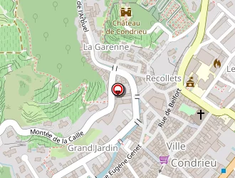 Carte de Fiacre Richard à Condrieu