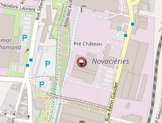 Carte de Gouleme Dominique à Saint-chamond