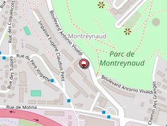 Carte de Smac à Saint-étienne