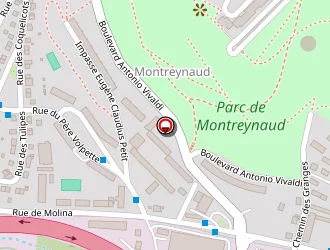 Carte de Thévenon Norbert à Saint-étienne