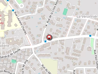 Carte de Védrine (ets) à Saint-chamond