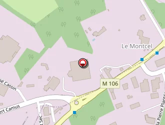 Carte de Vert Tige à Saint-jean-bonnefonds