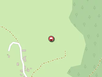 Carte de Cubizolle Dominique à Périgneux