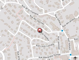 Carte de Billon Denis à Saint-priest-en-jarez