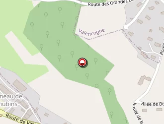 Carte de Pere Bruno à Pin (le)