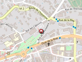 Carte de Meillier Michel à Saint-chamond