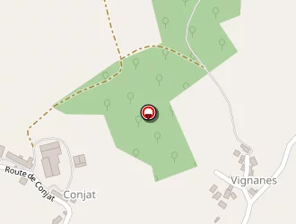 Carte de Borie Jean-claude à Lonzac (le)