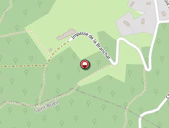 Carte de Buisson Olivier à Saint-bueil