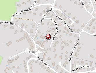 Carte de Fayolle Fabrice à Talaudière (la)