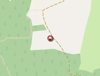 Carte de Plotton Pascal à Saint-marcellin-en-forez