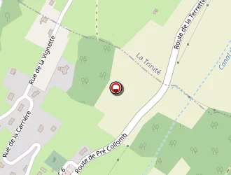 Carte de Garage Mosca à Villard-sallet