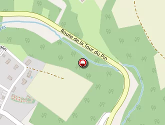 Carte de Cirnu Irina à Panissage