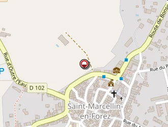 Carte de Terreceine à Saint-marcellin-en-forez