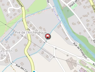 Carte de Duraz Ramonage à Bois (le)