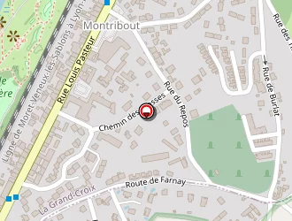 Carte de Canton à Grand-croix (la)