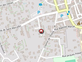 Carte de Laurier Michel à Saint-just-saint-rambert