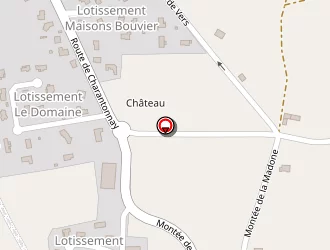 Carte de Joye à Saint-jean-de-bournay