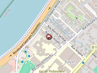 Carte de Patrice Vial à Vienne