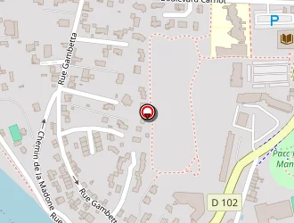 Carte de Piveteau Mickaël à Saint-just-saint-rambert