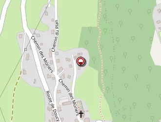 Carte de Pellicier Philippe à Saint-oyen