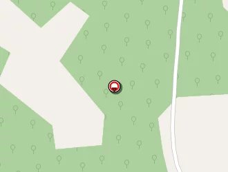 Carte de Loiseau Alexandre à Mosnac