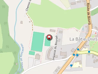 Carte de Buisson Didier à Bâtie-divisin (la)