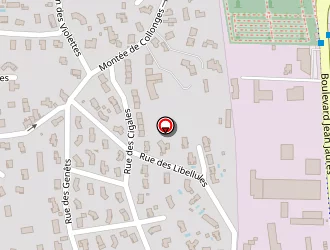 Carte de Baudo Philippe à Saint-just-saint-rambert