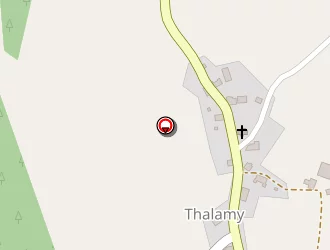 Carte de Delpy Serge à Thalamy