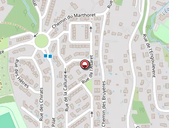 Carte de Jacques Bonifacio à Rive-de-gier