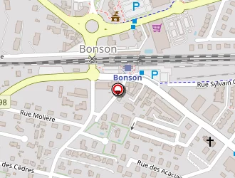 Carte de Delpont Jean à Bonson