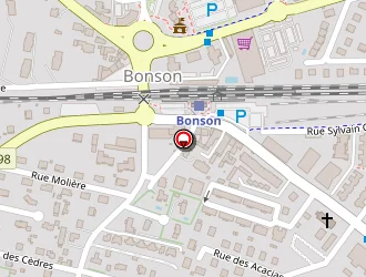 Carte de Leroux Marcel à Bonson