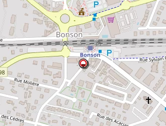 Carte de Proconseil Travaux à Bonson