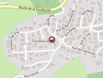 Carte de Peyron Eric à Saint-héand